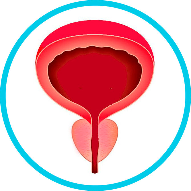 Vorbeugung von Prostatitis